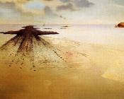 萨尔瓦多 达利 : 地质学的主义